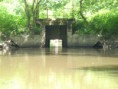/album/kepgaleria-tokaji-hegy-tura/dsci0088-jpg/