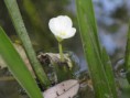 /album/kepgaleria-tokaji-hegy-tura/img-0379-jpg/